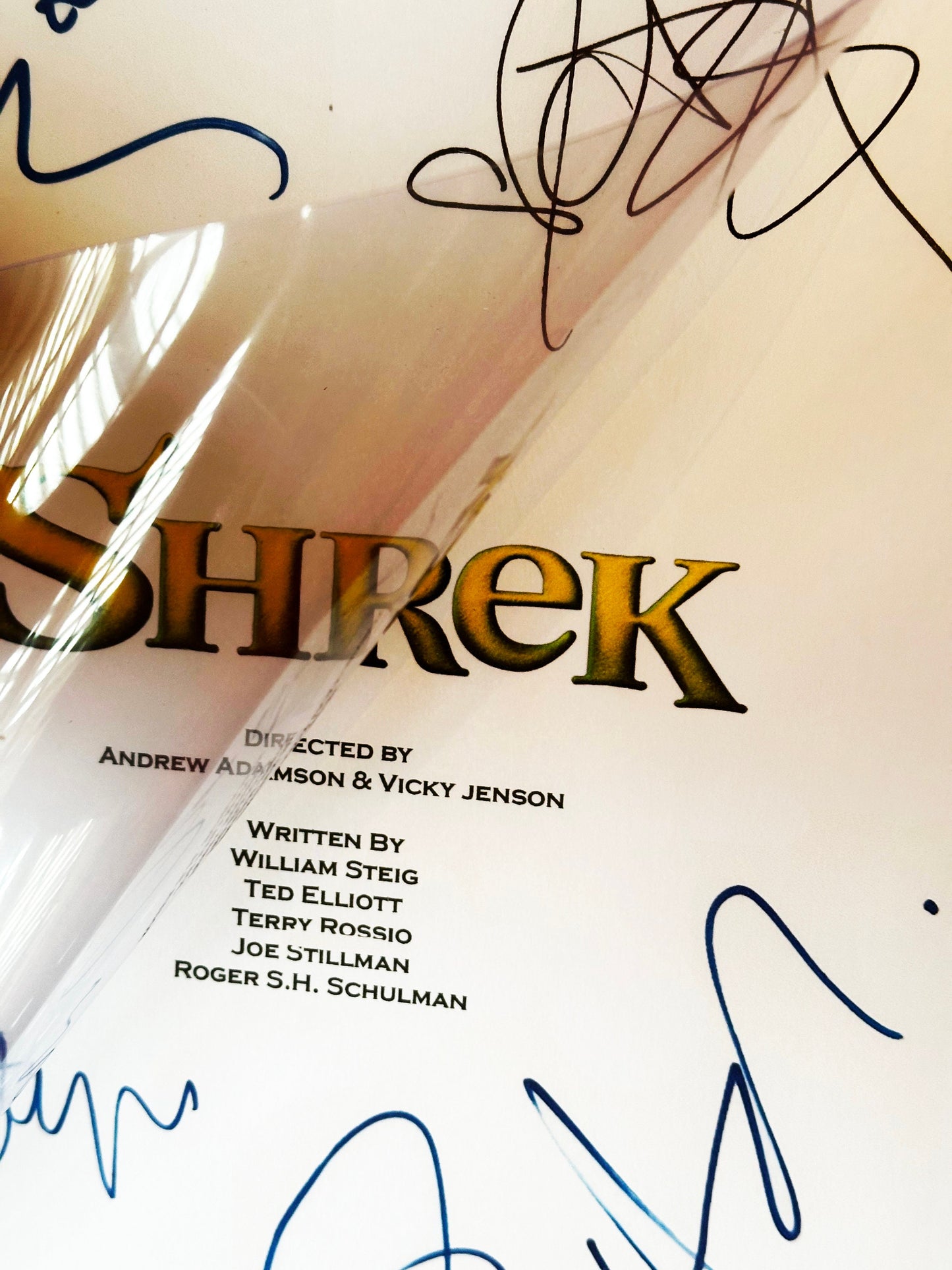 SHREK Signed Movie Script, Birthday Gift, Movie Gift, Film Script, Screenplay, Autographs